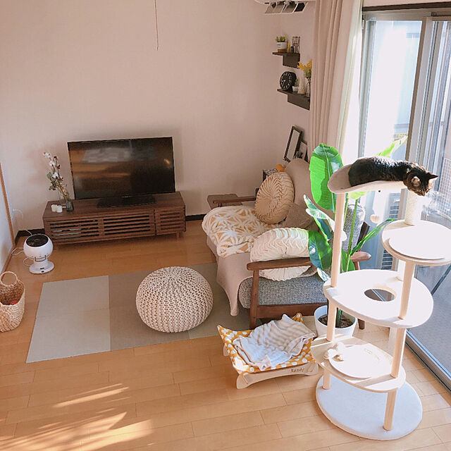 窓辺のインテリア,ニトリ,キャットタワー,ソファーまわり,猫と暮らす,Lounge asaの部屋