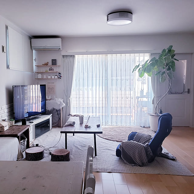Lounge,座椅子,ポップインアラジン2,ニトリのカーペット,おしゃれな座椅子,リビングダイニング,大掃除,SWITCH ソファ,ベンチソファ,クッションカバー,冬支度,広く見せる,足場板テーブル,模様替え,ダイニングテーブル,ソファー断捨離,ウンベラータ,楽天ルームに載せてます,楽天ルームはプロフィールから,ソファー買い替えたい puritan_rの部屋