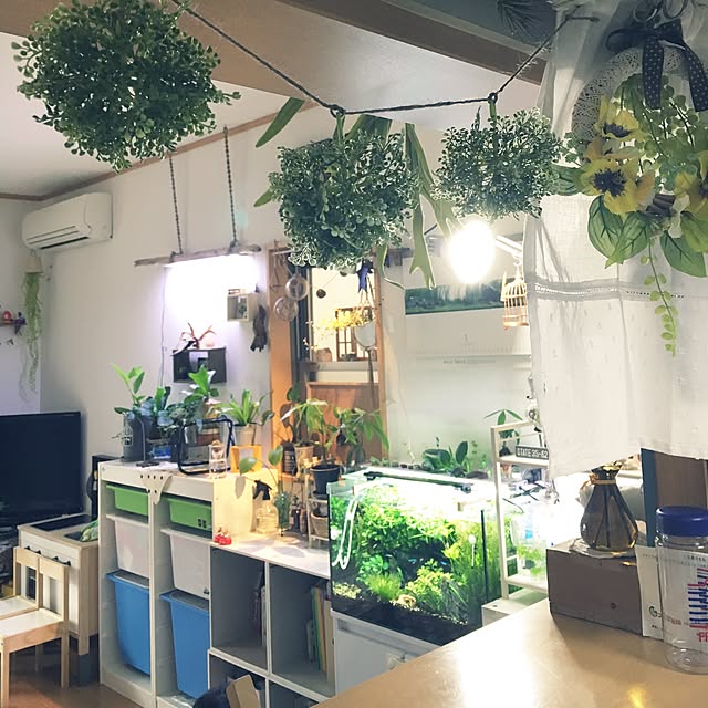 Kitchen,アクアリウム,水槽,IKEA 照明,IKEA,ライト,植物のある暮らし,植物,グリーンのある暮らし,グリーン,グリーンボール,3Coins,カーテン,手作り雑貨,手作りリース,リース 手作り,リース,セリアのフェイクグリーン,ダイソーのフェイクグリーン,ダイソー,ナチュラル,セリアの雑貨,フェイクグリーン,seria,100均雑貨,100均大好き,セリア,フェイクフラワー,Daiso yuuの部屋