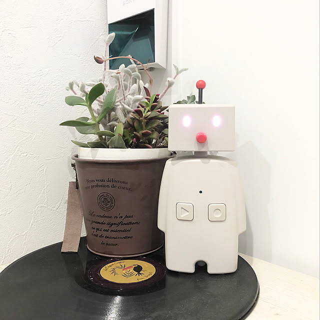 bocco,スマートスピーカー,防災,My Shelf shiratamaの部屋