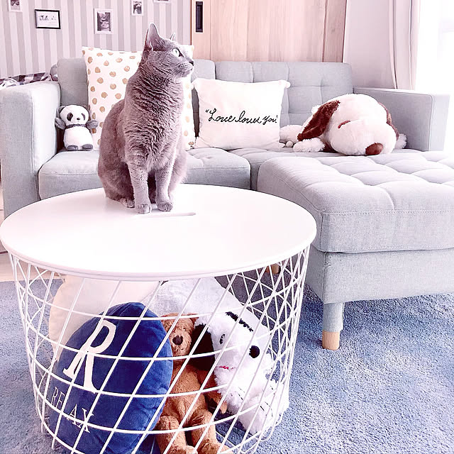 リビングテーブル,世界の平和を願って,猫と暮らす,スヌーピー,猫が好き,平穏な日常が一日も早く戻ります様に,ねこと暮らす,Daiso,猫のいる暮らし,みていただきありがとうございます❤️,なにげない日常に感謝して,RCの出会いに感謝しています♡,動物が好き,IKEA,My Desk snoopyの部屋