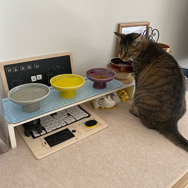 美濃焼,おもちゃのパソコン,猫,ねこ,猫の水飲み場,猫の食事処,ニトリのコの字ラック,IKEAのトレイ,峠の釜飯の容器,ムーンちゃん,猫のごはん置き場,Lounge mikomaruの部屋