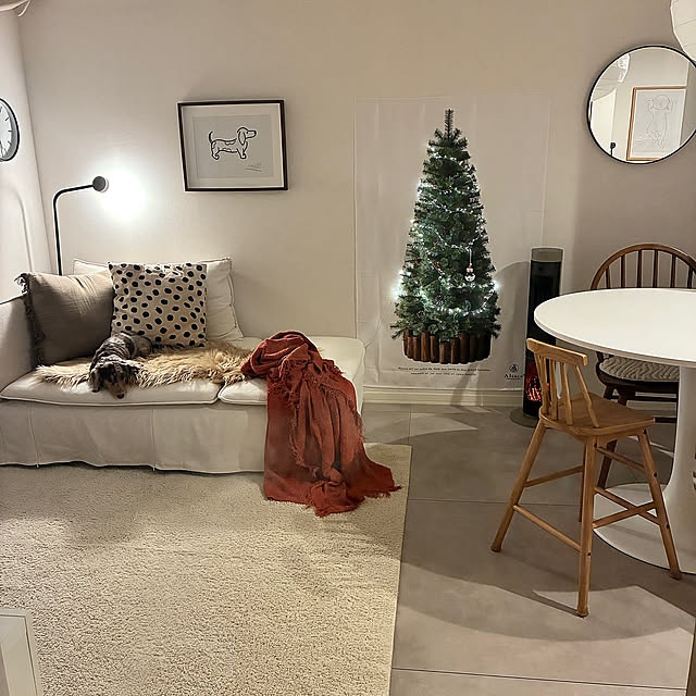 Lounge,IKEA,賃貸,ソーデルハムン,リビング10畳,2LDK賃貸マンション latte.mの部屋