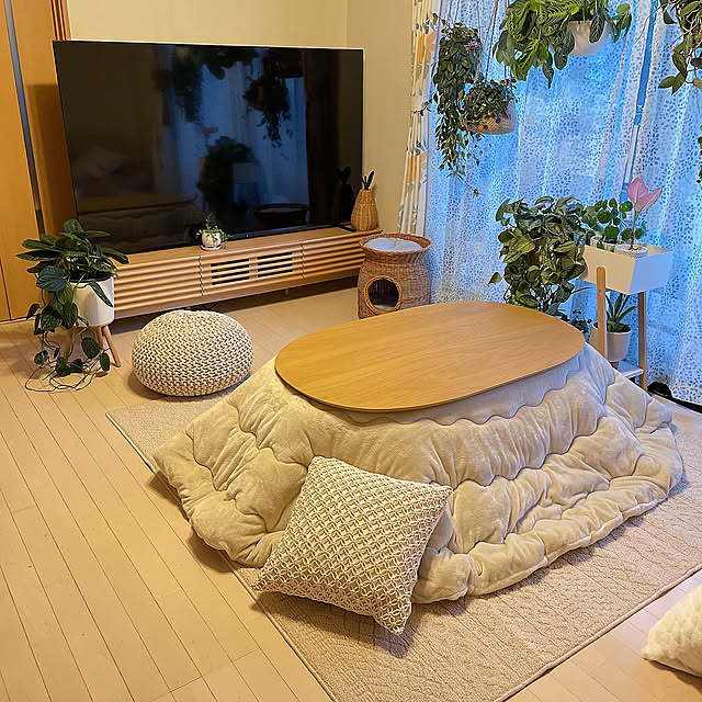 リビング,Lounge,ニトリテレビボード,植物,グリーン,癒し,フラワーベース,くつろぎ空間,いいね！ありがとうございます◡̈♥︎,洋なしカゴ,モンステラジェイドシャトルコック,リビング狭い,イベント投稿,REGZA75インチ,こたつ,イケヒコこたつ布団 chinaの部屋