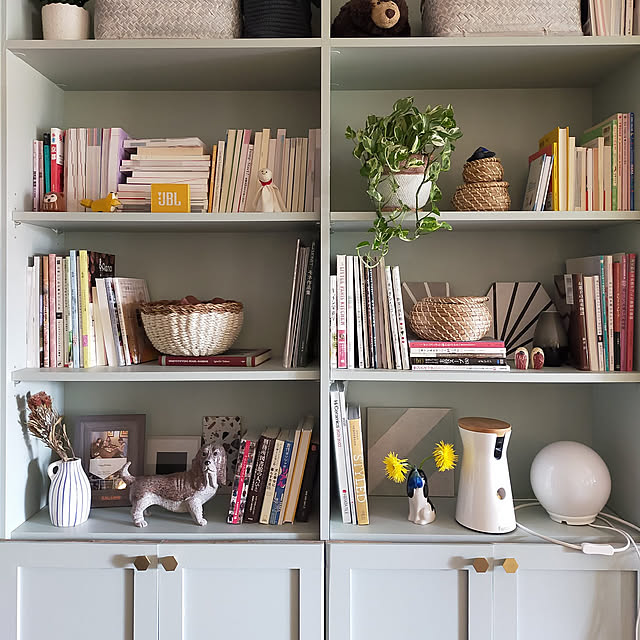 My Shelf,カラフルインテリア,ベンジャミンムーア,IKEA,観葉植物のある暮らし,DIY,マンション,インテリアグリーン,海外インテリア,セルフリノベーション,本棚DIY nonono1126の部屋