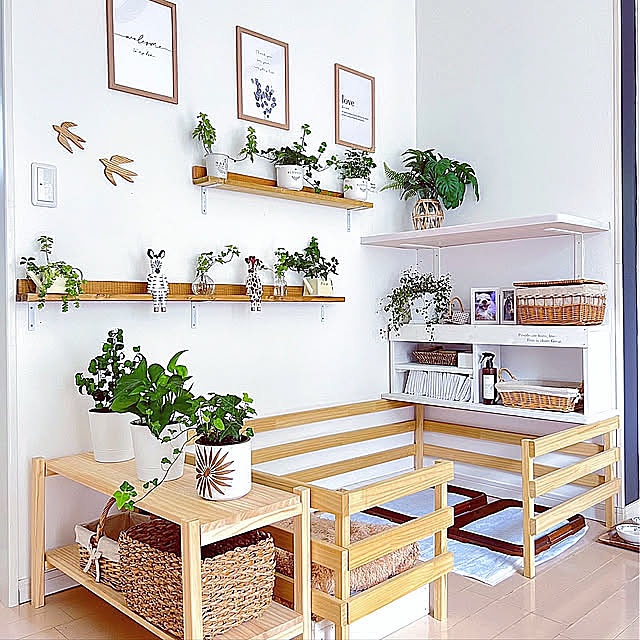 犬小屋,ケージDIY,ケージ,犬のいる暮らし,いぬと暮らす,観葉植物,グリーンのある生活,ありがとうございます♡,北欧インテリア,壁面インテリア,DIYのある暮らし,いいね、お返しができなくてごめんなさい。,ナチュラル,壁面ディスプレイ,おうち時間,夏の模様替え,カフェ風インテリア,インテリア,観葉植物のある暮らし,グリーンのある暮らし,ナチュラルインテリア,リビングインテリア,Lounge yumimaruの部屋