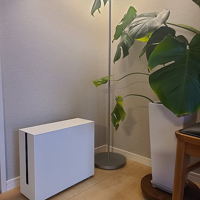 Lounge,ネット通販,一人暮らし,団地,シンプル,モノトーン,リノベーション,お邪魔できなくてごめんなさい,いいね、フォローに感謝です✨,2024.3.7,モンステラ monの部屋