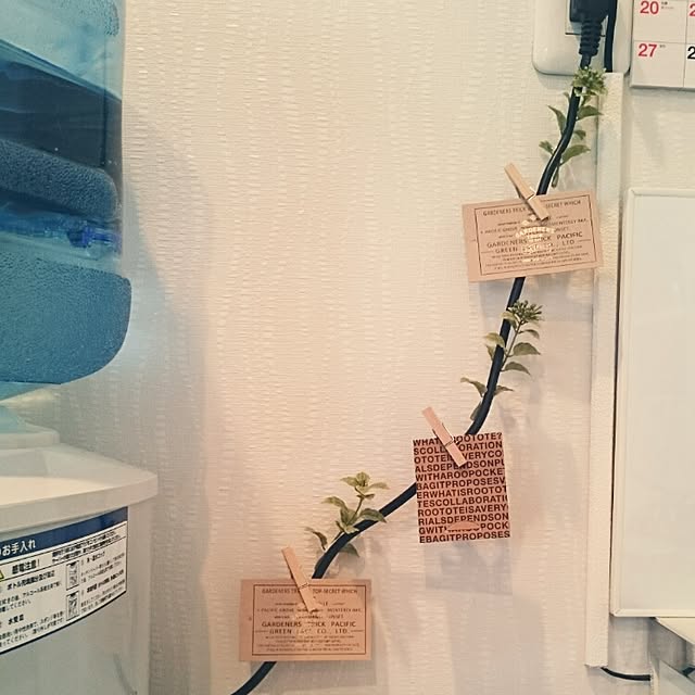 Kitchen,コード収納,ウォーターサーバー,フェイクグリーン yukiの部屋