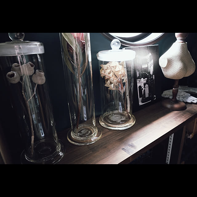 トルソー,ドライフラワー,植物標本,標本瓶,ガラス雑貨,標本,博物趣味,My Shelf Re-oの部屋