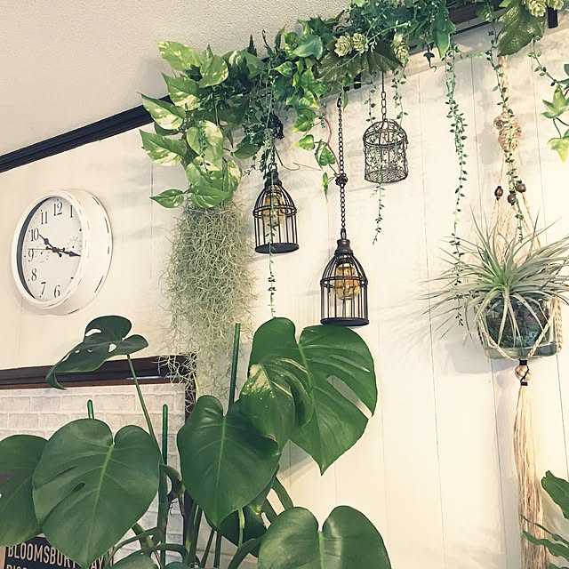 On Walls,セリア,DIY,フェイクグリーン,いいね！押し逃げばかりでごめんなさい。,いつもいいねやコメありがとうございます♡,板壁DIY,一人暮らし,観葉植物,カフェ風,ニトリの時計,ニトリ,ダイソー,NO GREEN NO LIFE,ペットと暮らす家,雑貨,100均,プラントハンガー,エアプランツ Sumomoaporomamaの部屋