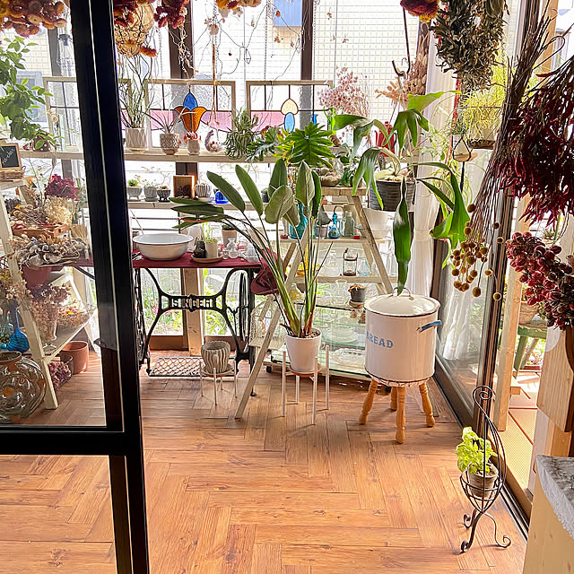 モニター応募投稿,新生活,多肉植物のある暮らし,ガーデニング,春の大掃除,趣味,多肉植物,第二のリビングダイニング,いつもいいねやコメありがとうございます♡,おうち時間,癒される時間,季節を感じる暮らし,花のある暮らし,好きな風景,整理,手作りのある暮らし,YKK AP,Entrance na-chanの部屋