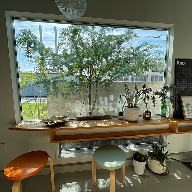 artek60,癒しスペース,ブリティッシュショートヘア,にわのある暮らし,設計事務所と建てる家,男前,中庭のある家,土間のある暮らし,オージープランツ,ねこと暮らす,モールテックス,ジミー大西,USMハラー,Entrance qoolasの部屋