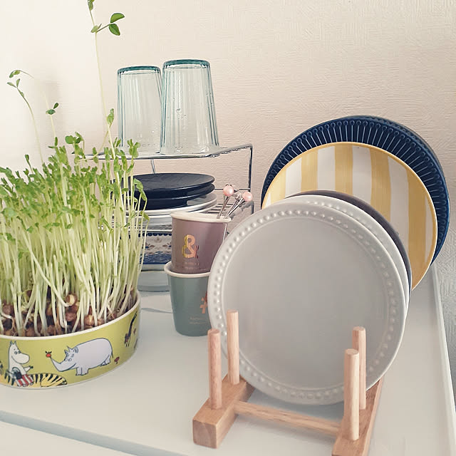 Lounge,ニトリ,ダイソー,節約に繋がる！,IKEA,一人暮らし,Francfranc食器,IKEA 雑貨,北欧 chisaviの部屋
