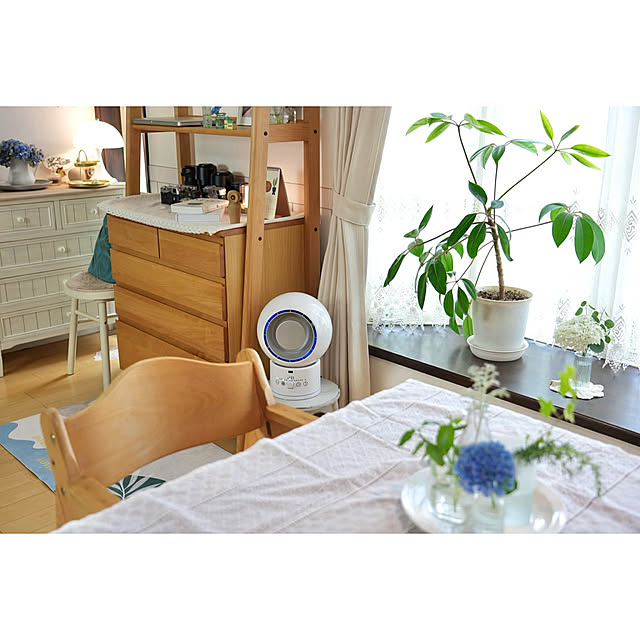 Lounge,サーキュレーター,サーキュレーターは夏の必需品,RoomClipで夏を楽しむ,夏インテリア,紫陽花が好き♡,夏の模様替え,観葉植物,ナチュラルインテリア,北欧インテリア,癒しの空間,いつもいいねありがとうございます♡,お花のある暮らし,植物のある暮らし,ボタニカルインテリア,４枚投稿です♡,北欧好き,子どものいる暮らし,子どもと暮らす haruisabelの部屋