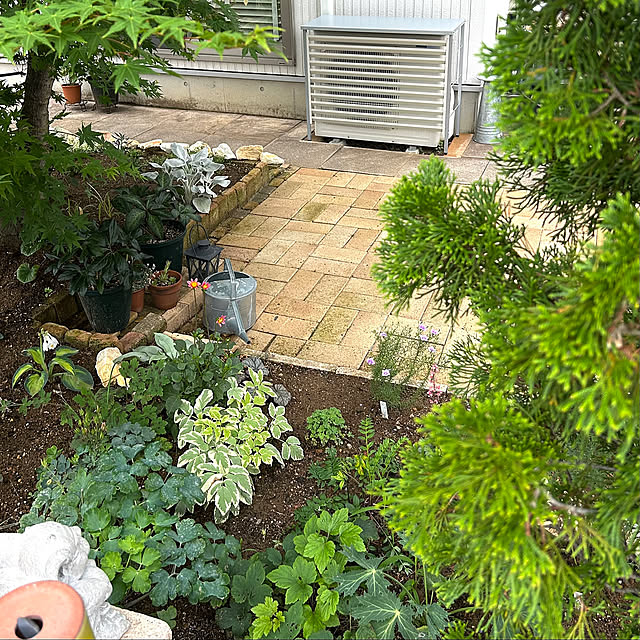 Entrance,庭のある暮らし,室外機,室外機カバー,夏の暮らし準備,庭の植物,庭づくり,手作りの庭,植物のある暮らし SAYOの部屋