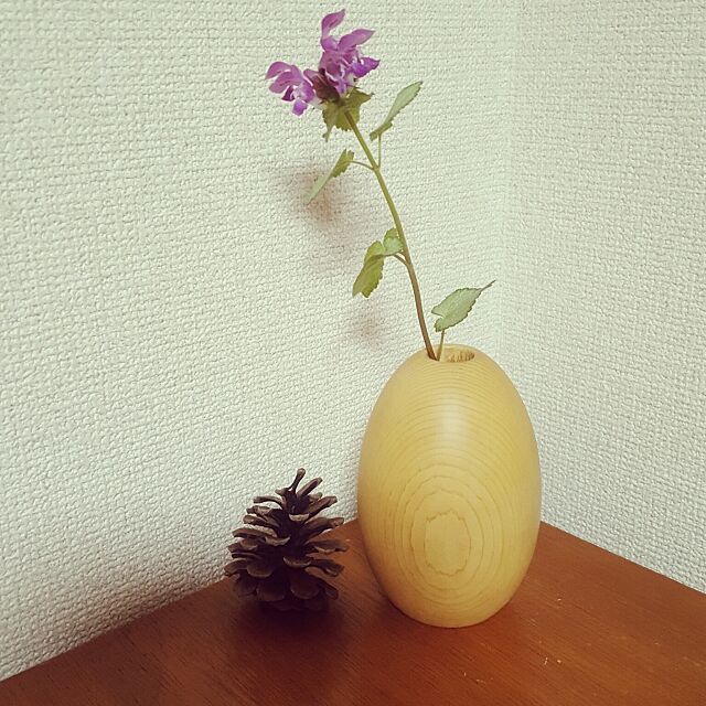 My Shelf,一輪挿し,植物と暮らす,北海道 置戸・オケクラフト okanの部屋