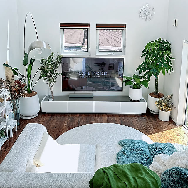 Overview,観葉植物のある暮らし,観葉植物,ドライフラワーのある暮らし,ドライフラワー,クワズイモ,オーガスタ,パキラ,DIY hanahana1444の部屋