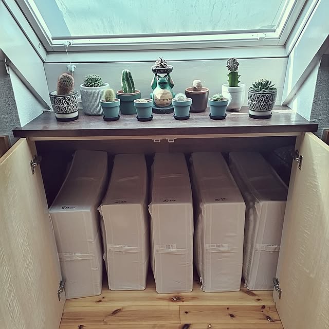 My Shelf,片付けやすい工夫,植物のある暮らし,ボタニカルインテリア,IKEA,布団収納,スクッブ rieの部屋