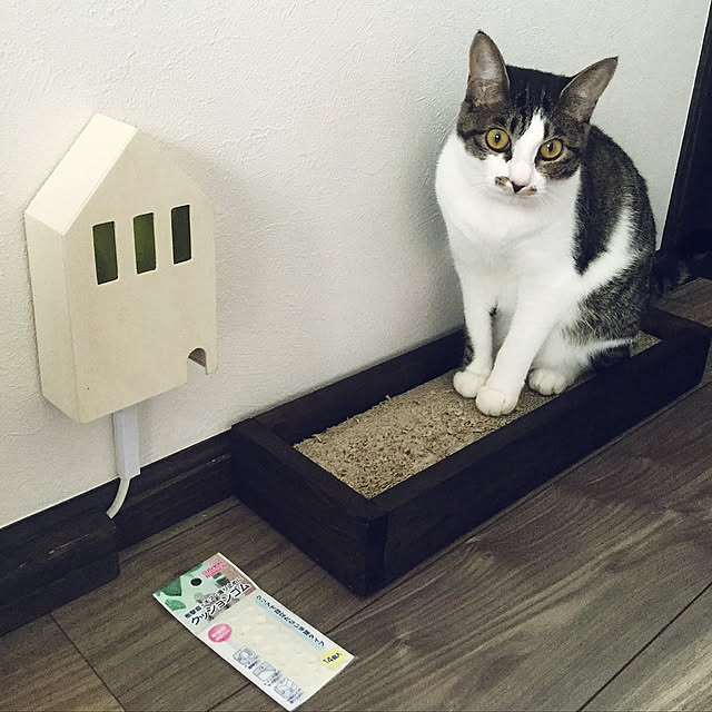 On Walls,100均一,てづくり,DIY,ねこ,コンセント隠し,ダイソー popoの部屋
