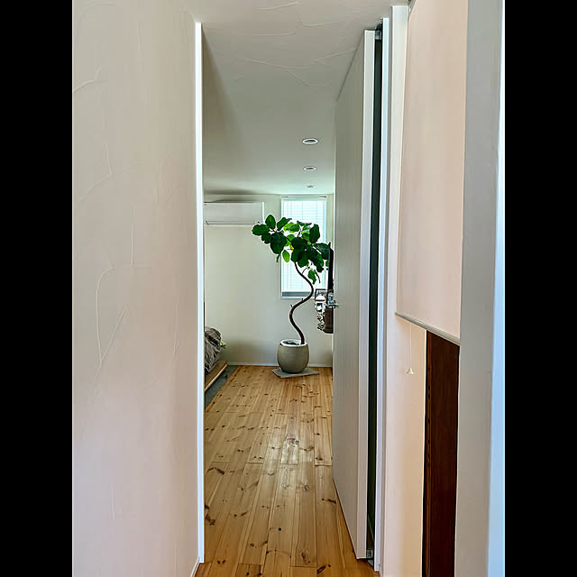 Bedroom,室内ドア,珪藻土の壁,フルハイトドア,珪藻土壁,KAMIYA,カミヤのハイドア,カミヤコーポレーション,珪藻土と無垢の床 tamabaka1971の部屋