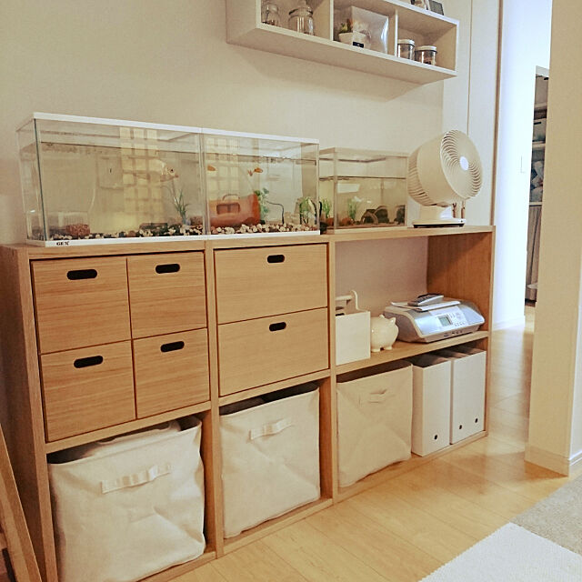 My Shelf,無印良品,金魚,水槽,無印良品 壁に付けられる家具,シンプル,子供と暮らす youmomoの部屋