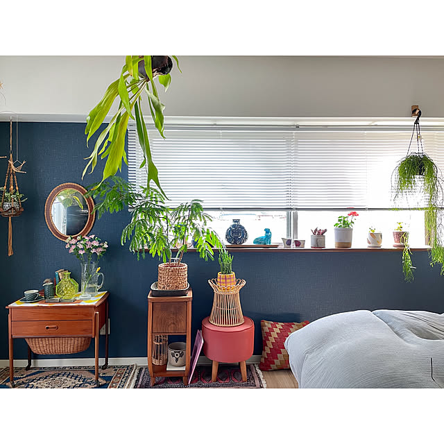 On Walls,ワンルーム,アクセントクロス,ブラインド,北欧ヴィンテージ,ひとり暮らし,賃貸インテリア,お花のある暮らし,ミックスインテリア,ブルーの壁,窓辺のインテリア,植物のある暮らし,好きなものに囲まれた暮らし hitomiの部屋
