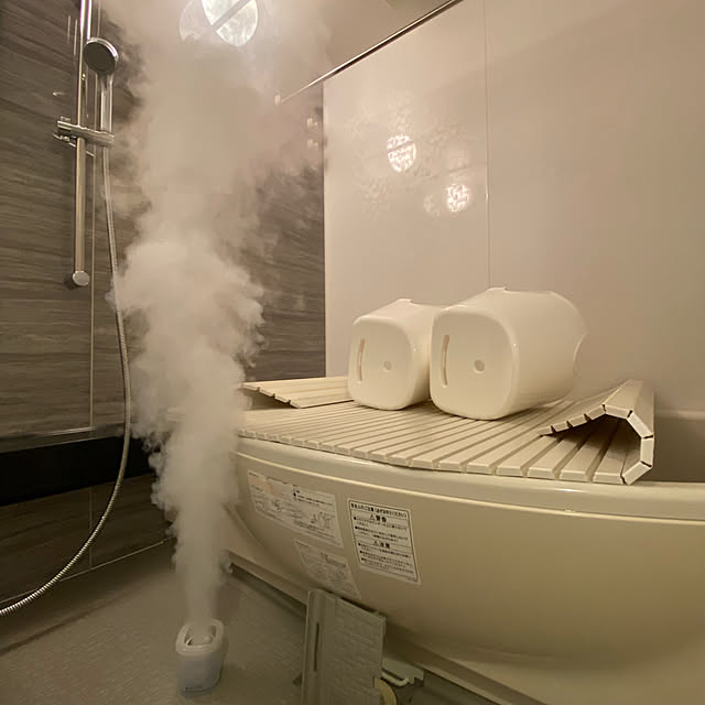 ルーティン家事,風呂掃除,防カビくん煙剤,Bathroom stの部屋