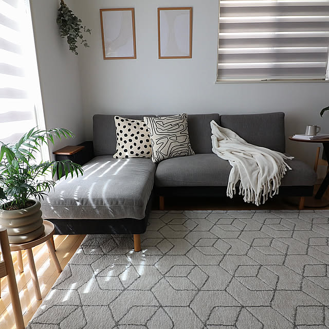 Lounge,グリーンのある暮らし,ニチベイ ロールスクリーン,ルームズ大正堂,モダン,ナチュラル,ACTUS,北欧,シンプル,カウチソファ,ソファ,馬場家具　ミーオF,インテリア,グレー tomoccoの部屋