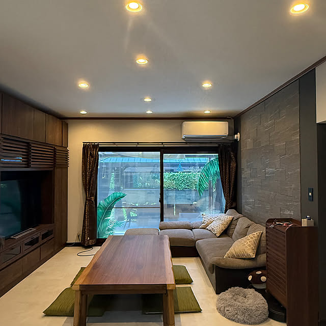 Lounge,猫のいる暮らし,テレビボート,ソファ,明るい部屋,ピタフィー Bellaの部屋