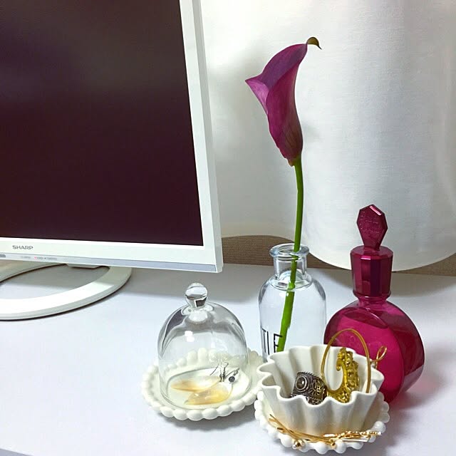 My Shelf,赤 × 白 × ゴールド,赤 白,白 大好き,お花♡,お花,お花のある暮らし,赤い花,一輪挿し,アルビオン,狭いけど諦めない！,塩かわいいを目指す。。,塩系,お皿ディスプレイ,100均大好き,一人暮らし,100均,いいね、フォロー本当に感謝です♡,塩系も可愛いも好き。,いいね&フォローありがとうございます☆,狭い家で楽しむ,セリア,ガラスドーム ru...chanの部屋