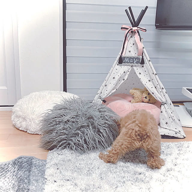 ダイソー,ダイソーのテント,テントインテリア,ピンクとグレー,ピンク×グレー,犬小屋,パピーがやって来た,子犬,ティピーテント,モノトーン,狭小,わんこと暮らす家,出会いに感謝です♡,ワンコと暮らす家,普通の家,トイプードル,新入り,いぬのいる暮らし,Lounge,おしり♡,クッション,ニトリのクッション,テント,ペットと暮らすインテリア,雑貨,モノトーンインテリア,犬雑貨,ドックハウス,手作りティピーテント kazuの部屋