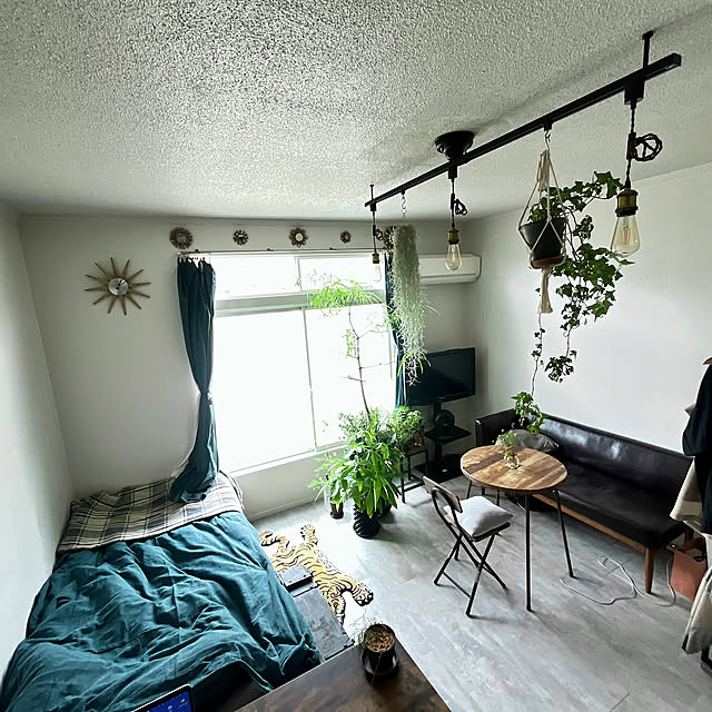 Overview,POSH LIVING マルチカバー,夏の模様替え,観葉植物,賃貸,インダストリアル,チベタンタイガーラグ aoiの部屋