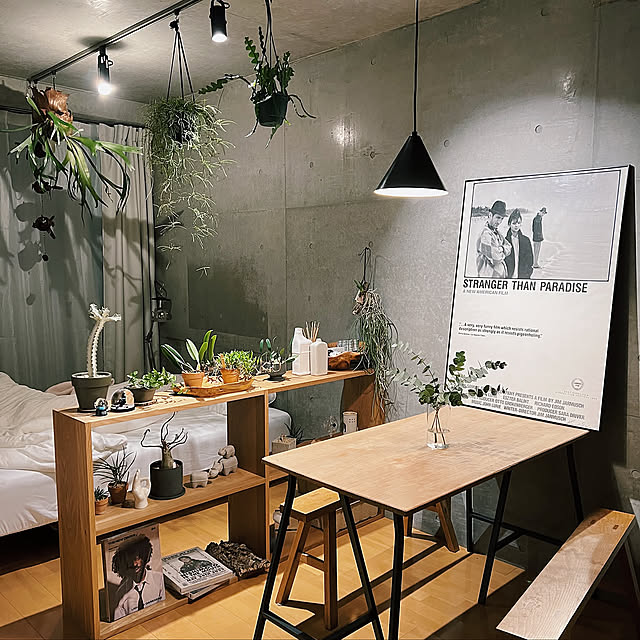 男部屋,一人暮らし,メンズ部屋,賃貸,コウモリラン,ビカクシダ,観葉植物,コンクリート打ちっ放し,無印良品,デザイナーズマンション,照明,IKEA,ワンルーム,Overview KANEYANの部屋