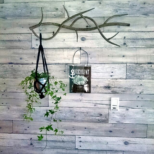 Trên tường, KHÔNG CÓ XANH KHÔNG CÓ CUỘC SỐNG, IKEA, màu xanh lá cây giả, giấy dán tường vân gỗ, inaza urusya, phong cách quán cà phê, Tự làm, cây cối, quán cà phê, gỗ trôi, giá treo thực vật phòng nông thôn