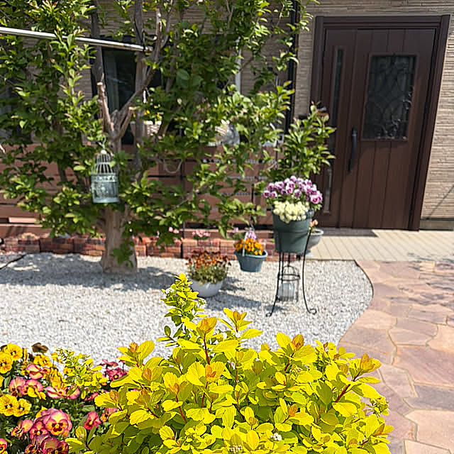 Entrance,暮らしの投稿,新築・リフォームのこだわり玄関編,グリーン,庭,アプローチ ronronの部屋