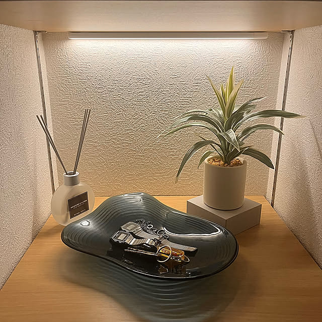 Entrance,香りのある暮らし,IKEA,フェイクグリーン,ニトリ,モダン,ナチュラル Kenの部屋