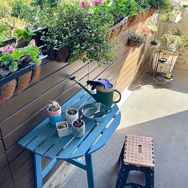 On Walls,おうち時間,観葉植物,花,花のある暮らし,マンション暮らし,観葉植物のある暮らし,ガーデニング,ベランダガーデン,春 marukoの部屋