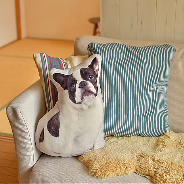 ニトリソファー,ラルフローレン,ソファーまわり,犬好き,ニトリのクッション,フレンチブル,ニトリ,クッション,転勤族の暮らし,二人暮らし,賃貸インテリア,Lounge mikigumaの部屋