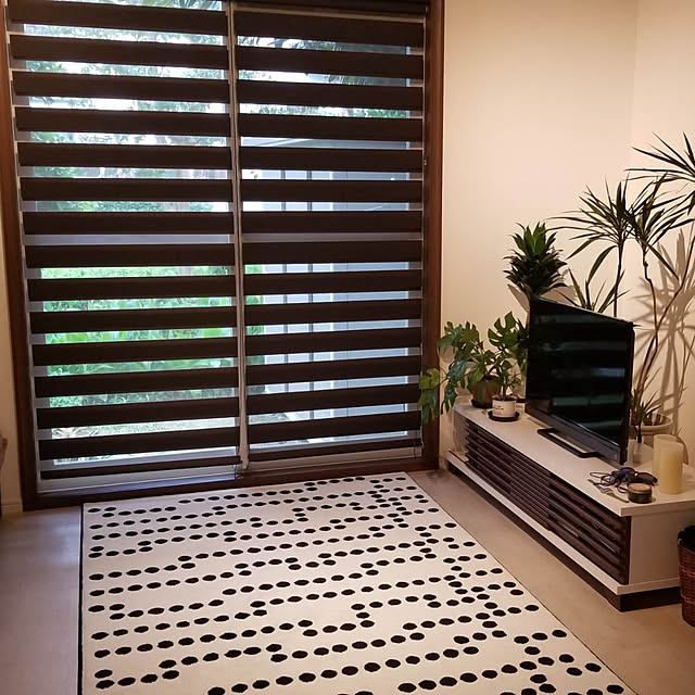 Bedroom,ニトリ,ロールスクリーン,ロールカーテン,寝室,観葉植物,植物のある暮らし,ワンルーム,ワンルームのレイアウト,調光ロールスクリーン Miyoの部屋