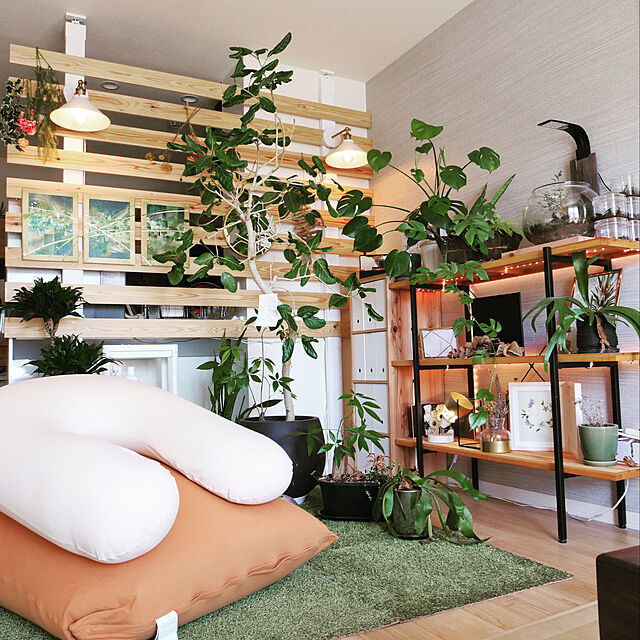 DIY,雑貨,観葉植物,ハンドメイド,カフェ風,無印良品,Overview Minatoの部屋