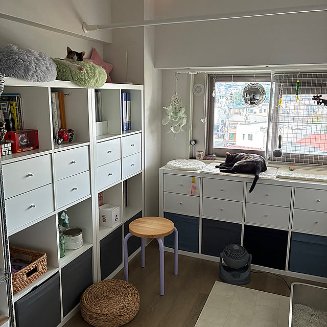 Overview,猫のいる暮らし,パープルが好き,IKEA,カラックス が好き,ビンテージマンション,フルリノベーション中古マンション,猫の部屋 kanaの部屋