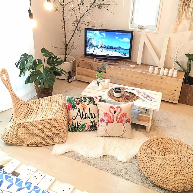 Lounge,インスタやってます♡,IKEA,海を感じるインテリア,一人暮らし,ニトリ,ホワイトインテリア,モンステラ,海を感じる雑貨,観葉植物,パレットベッド,ナチュラル yumia220の部屋