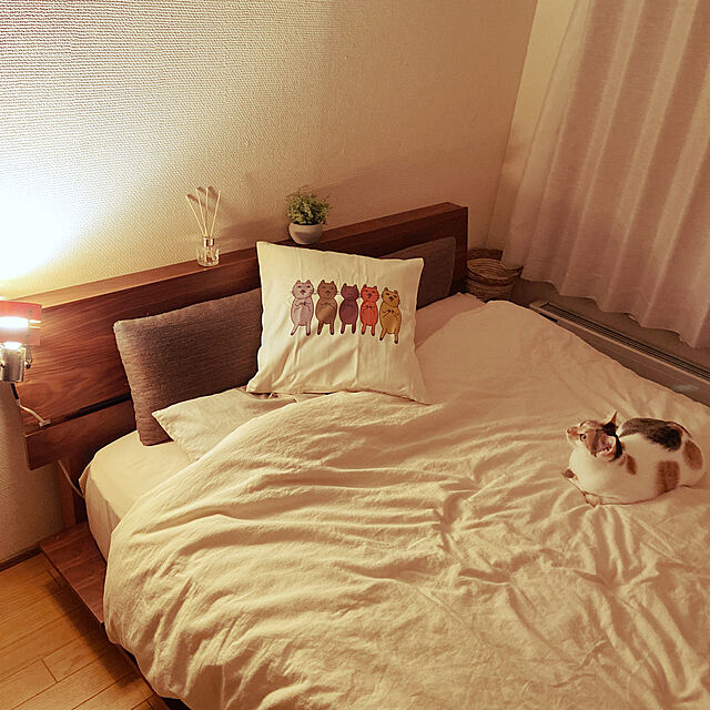 ニトリのベッド,猫と寝る,クッションカバー,ダイソー,Bedroom miwaの部屋