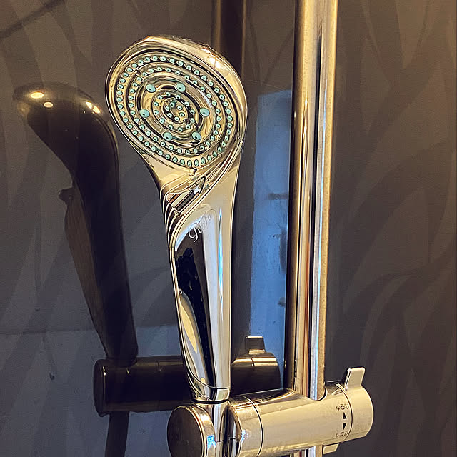 シャワーヘッド交換,シャワーヘッド,リファファインバブルS,日用品,Bathroom ayaの部屋