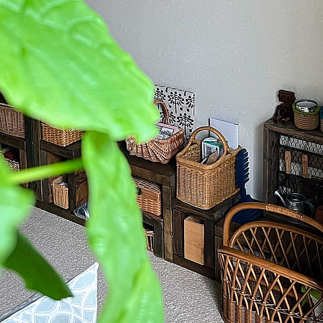 統一感,ブラウン,かご,木箱棚,木箱,夏の模様替え,雑貨,癒し,夏,ガーデン雑貨,くつろぎ空間,ダイソー,好きなもの,グリーン,IKEA 雑貨,イベント参加,古い家,窓辺のグリーン,植物,My Shelf,四角フェチ,シンデレラフィット mohhaの部屋