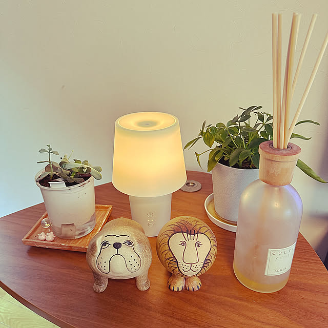Lounge,観葉植物,ナチュラル,植物,かわりばえしない投稿すみません。,照明,癒しの時間 nanoの部屋