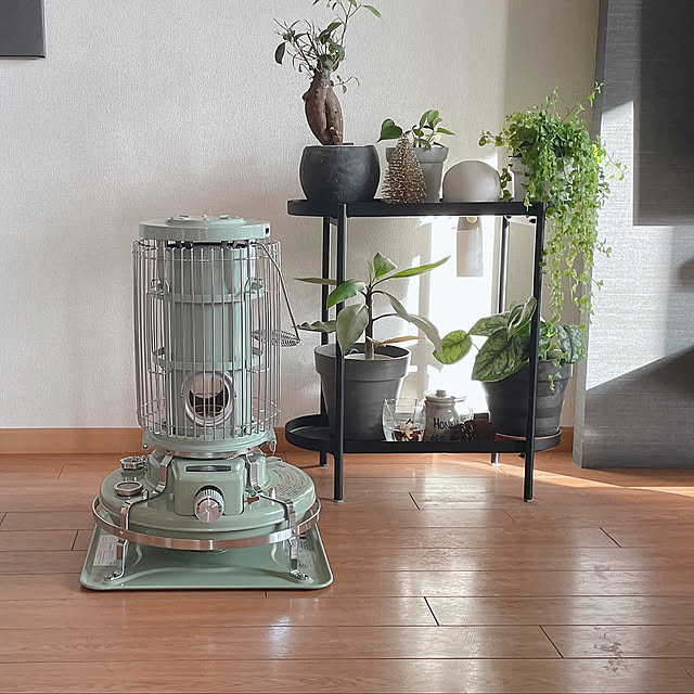 Overview,買ってよかったもの,IKEA,癒し,賃貸,2LDK,2人暮らし,アラジンストーブ,賃貸でも諦めない！,グリーンのある暮らし,灯油ストーブ,バックボードDIY,乾燥対策,『RCカントリー倶楽部☆』,アクタス,セカンドライフ akoの部屋