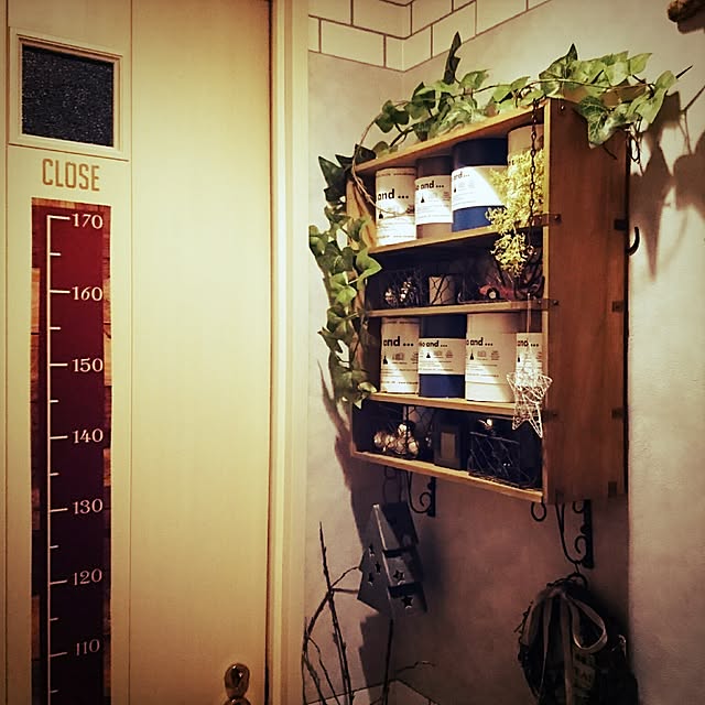 Bathroom,100均,棚DIY Naの部屋