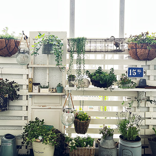 プチプラガーデニング,観葉植物,ナチュラル,雑貨,アンティーク,ガーデニング,ハンドメイド,DIY,レトロ,多肉植物,カインズ,salut!,ソーラーLEDライト,Entrance,すのこDIY,すのこ haruの部屋