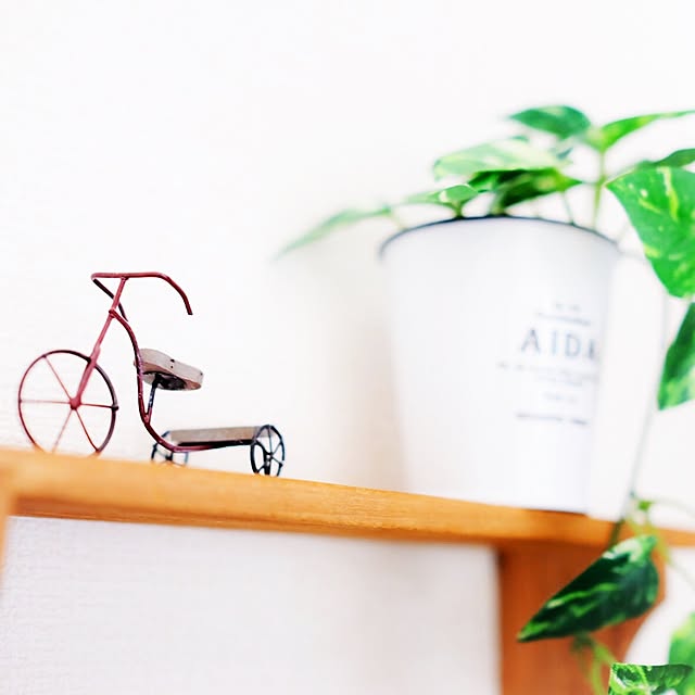 自転車オブジェ,バケツ缶,ポタフルール,Instagramやってます,セリア,100均,フェイクグリーン,雑貨,ナチュラル,On Walls mioの部屋